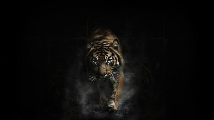 Detroit Tigers Desktop Wallpaper 1920x1080 (56+ images)