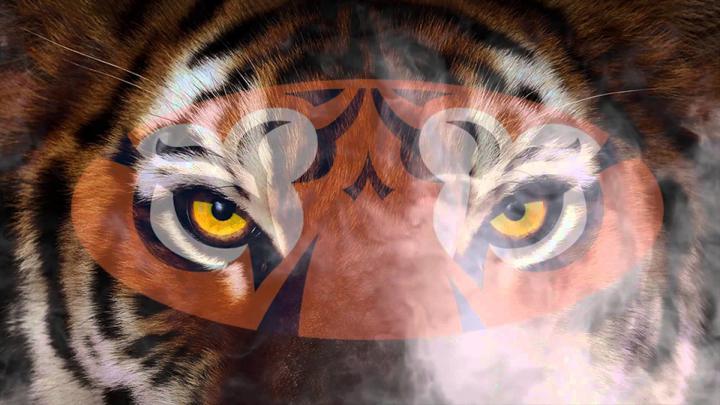 Auburn Tigers Wallpapers \u00b7\u2460 