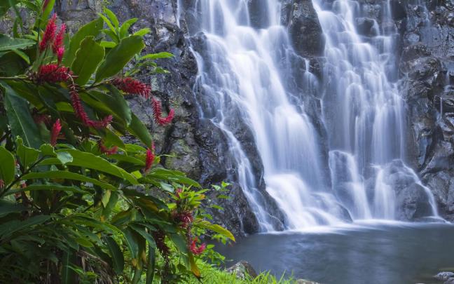 Desktop Wallpapers Free: Hd Wallpapers Of Nature Free Download