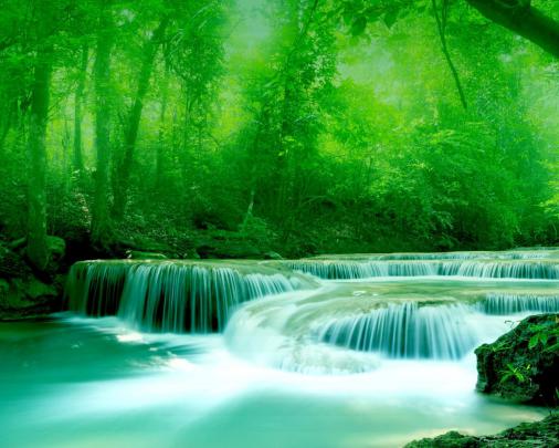 Wallpaper River, Water, Rocks, Trees, Greenery Free Wallpapers Download 
