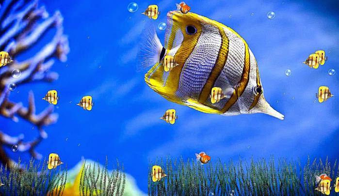 Free Virtual Wallpapers Desktop -
