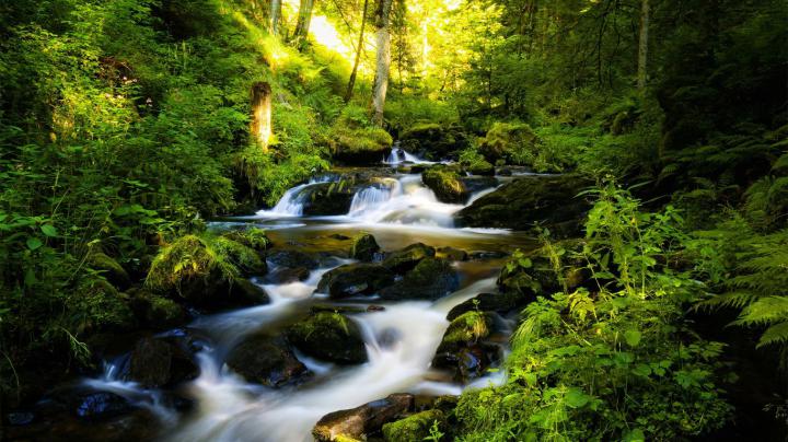 Download desktop wallpaper Landscape