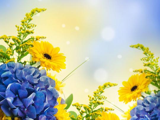 Full Screen HD Wallpapers