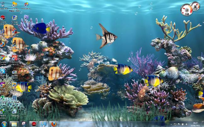 Foto Wallpaper Bergerak -