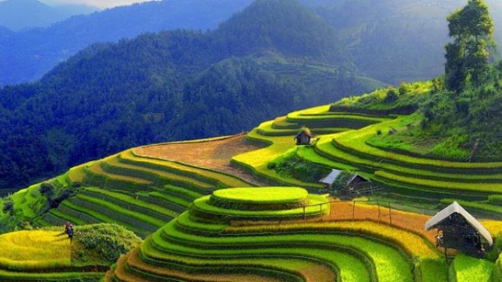 Kumpulan Wallpaper Untuk Komputer Dan Laptop Terbaru - Background Alam 