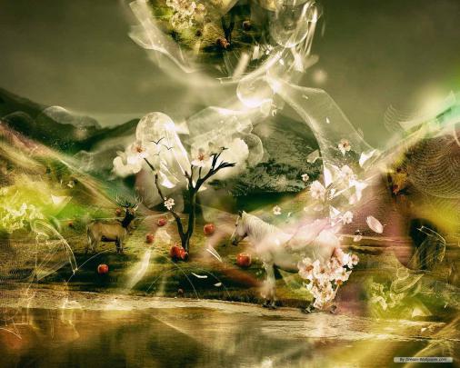 HD Wallpapers 3D Computer free download - HD Wallpapers Storm | Free 