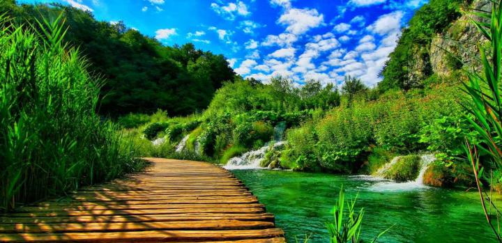 Background Untuk Foto - Comic Nature Background Hd - 1360x661 
