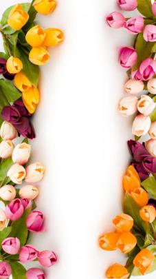 Full Hd Hd Flower Wallpapers 1080P : Gallery For Full Hd Flower 