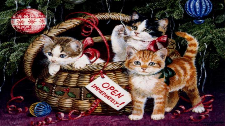 Xmas Images: christmas wallpapers for desktop free download