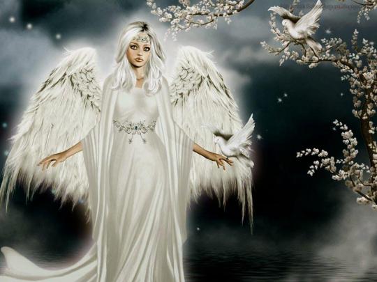 Free Angel Desktop Wallpapers
