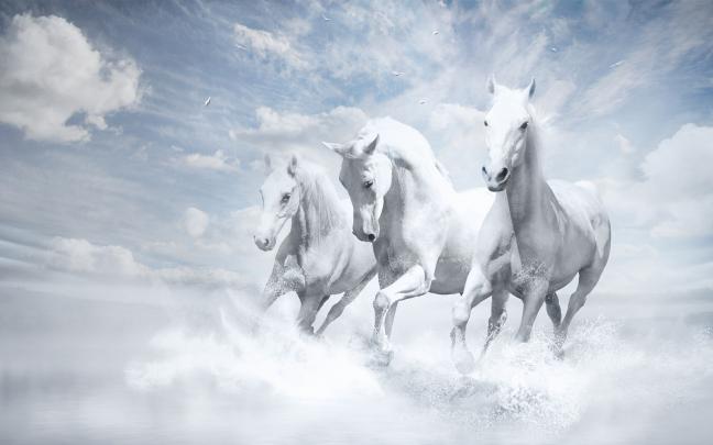 Angel Desktop Wallpaper (58+ images)