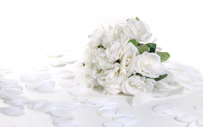 White Rose Wallpapers