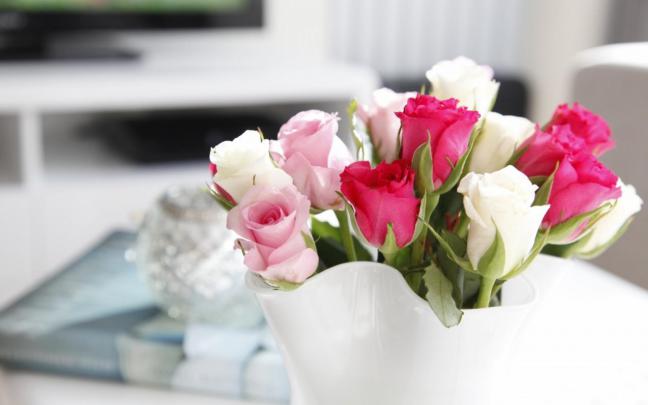 White Rose Wallpapers