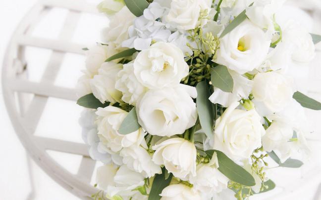 White Rose Wallpapers