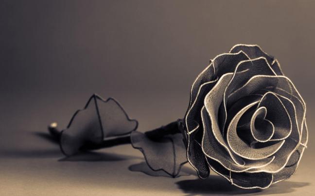 Black And White Rose Wallpapers