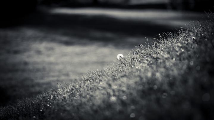 bw wallpapers hd - HD Desktop Wallpapers