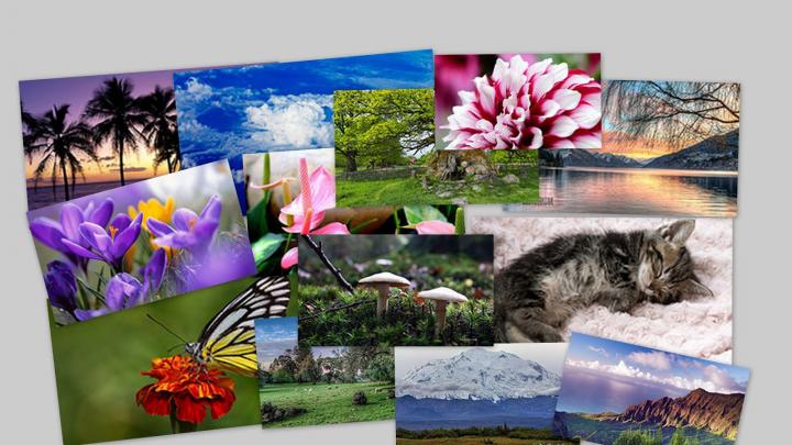 Free download now in this article Im going to share some best themes 
