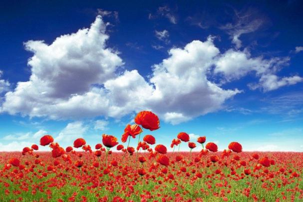 Cloud Desktop Background \u00b7\u2460 