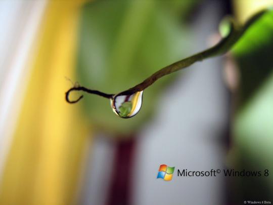 Free download Wallpapers HD Windows 8 Wallpapers 37 Fondos de pantalla 