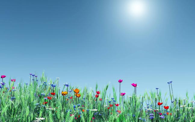 Windows 8.1 wallpaper \u00b7\u2460 Download free amazing wallpapers for desktop 