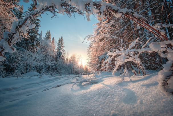 snow, Winter, Nature, Landscape Wallpapers HD \/ Desktop and Mobile 
