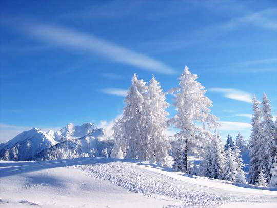 Winter Wallpaper HD For Desktop:Computer Wallpaper | Free Wallpaper 