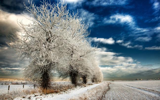 [40+] HD Wallpaper Winter Landscape 
