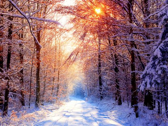 Best Desktop HD Wallpaper - Winter Wallpapers