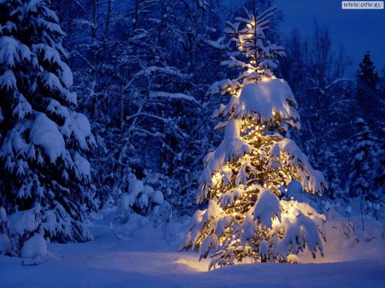 Desktop Wallpapers Christmas