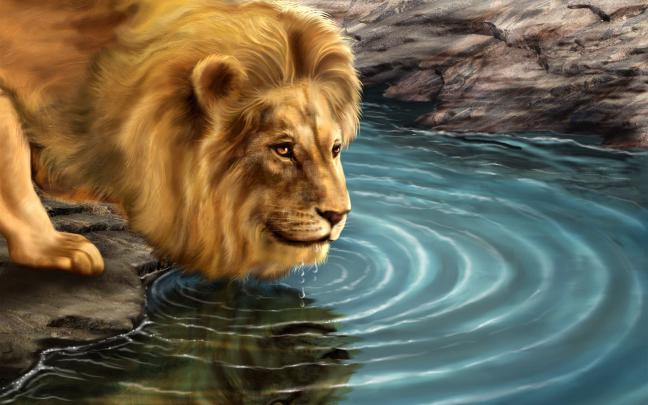 3D Lion Wallpapers - Top Free 3D Lion Backgrounds - WallpaperAccess
