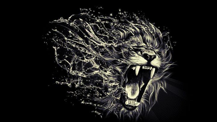 Graphic Design 1080p Angry Lion Images Hd