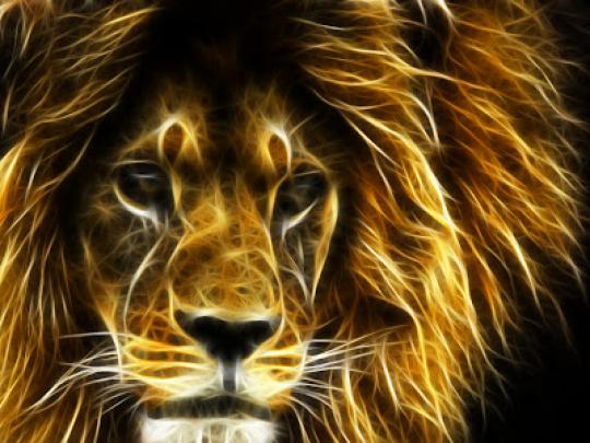 Berbagi SourceCode: 3D LION WALLPAPER [HOT]