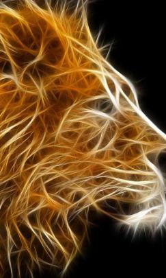 [44+] Cool Lion Wallpaper 