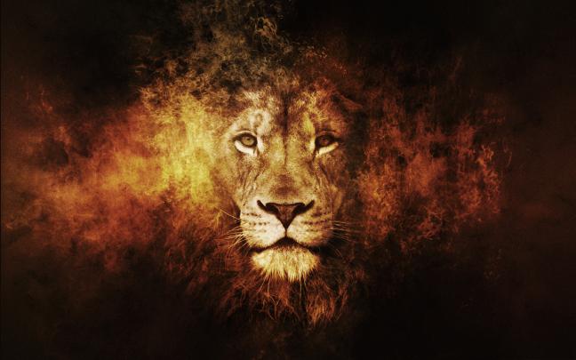 Lion Desktop Backgrounds (73+ pictures)