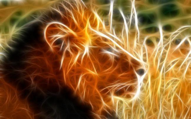 [41+] Cool Lion Wallpapers 