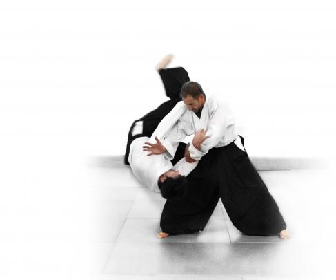 Aikido Wallpaper (63+ images)