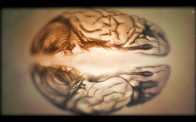 Anatomy Wallpaper HD (63+ images)