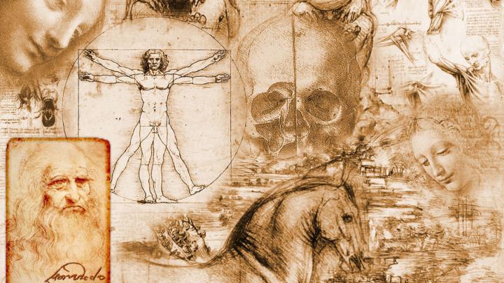 Anatomy Wallpaper HD (63+ images)