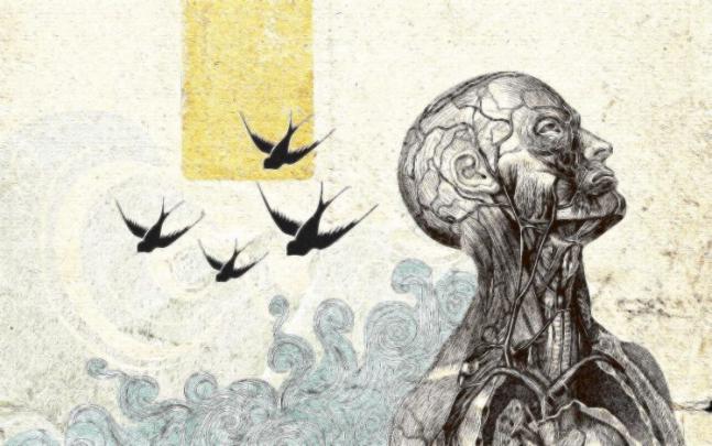 Traditional Artwork, Anatomy Wallpapers HD \/ Desktop and Mobile Backgrounds