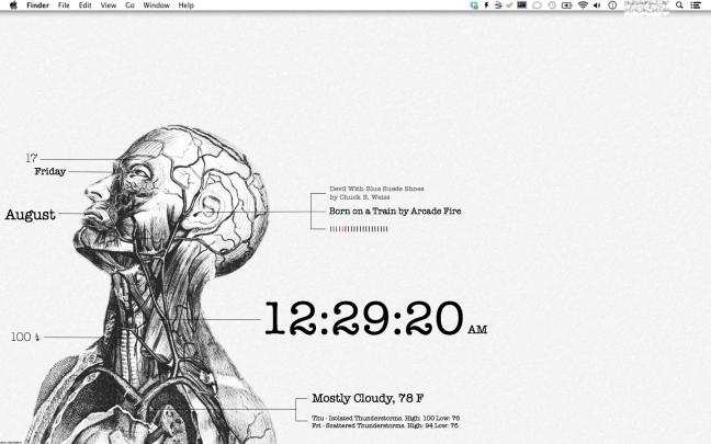 Human Anatomy Wallpaper -
