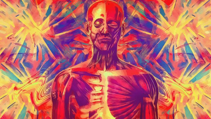 Artistic Anatomy HD Wallpaper | Background Image | 2000x1125