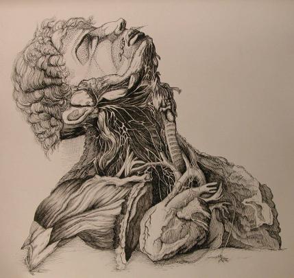 Booklet: Medical Art Medicine Desktop Wallpaper