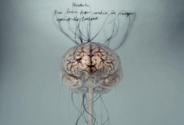 Anatomy Wallpaper HD (63+ images)
