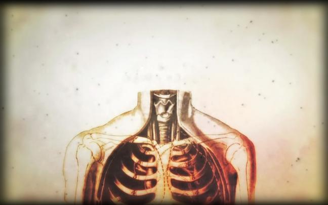 Anatomy Wallpaper HD (63+ images)