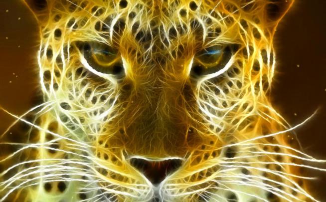 wallpaper proslut: Animated Wallpapers