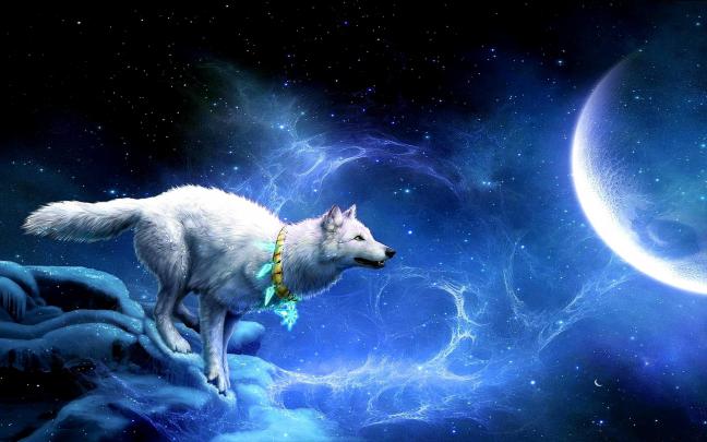 Cool Animal Backgrounds (66+ images)