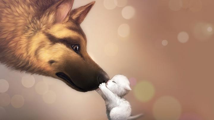 Cute Anime Animals Wallpaper (63+ images)