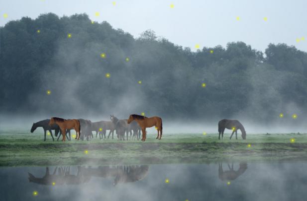 Download Bing Animated Wallpaper Gallery