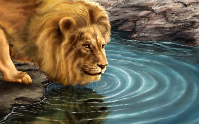 Download Lion Animated Wallpaper Gallery