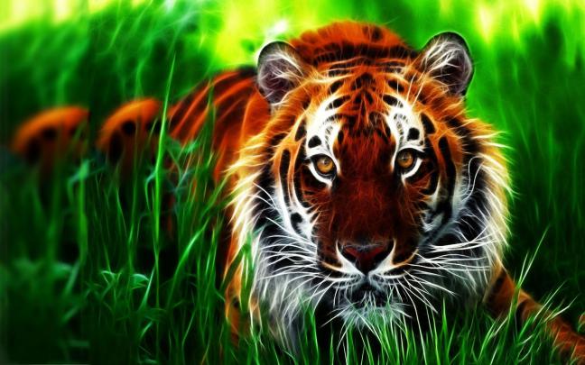 Animal in 2020 | Hd wallpapers 3d, Animated wallpapers for mobile 
